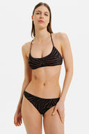 Ava New Zebra