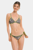Linda Brown zebra