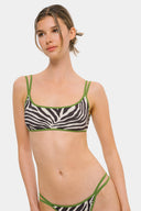 Violet Brown Zebra