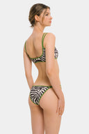 Violet Brown Zebra