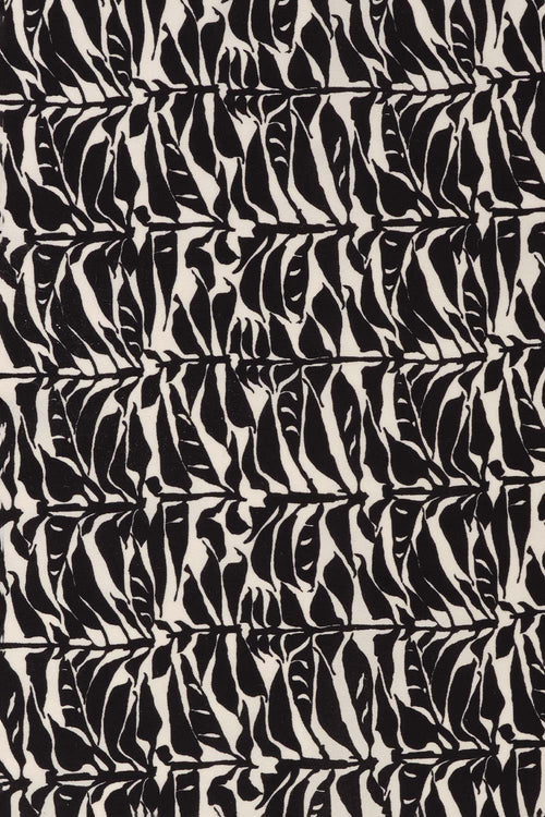 Beatrix Zebra